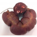 Boudin Galabar - 500g