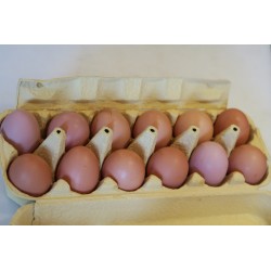 12 oeufs extra frais