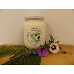 Yaourt nature 750 g (lait de vache)