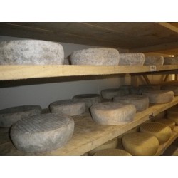 Tomme fermière lait cru entier de vache, 250 g